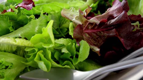 Nahaufnahme-Von-Salat-In-Einer-Schüssel