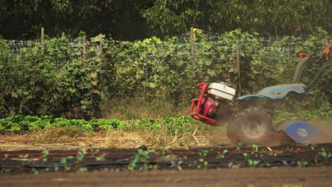 close up of a farmer man tilling organic matter ground with red tiller