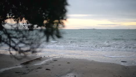 morning sun over the south pacific ocean with branches out of focus in the foreground