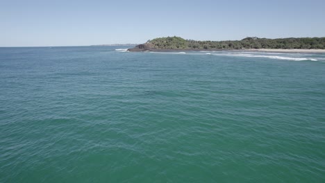 Mar-De-Tasmania-Con-Manada-De-Delfines-Nariz-De-Botella-Nadando-Bajo
