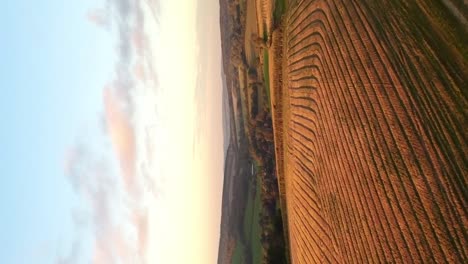 Vertical-drone-establishing-shot-fields-and-farm-in-English-countryside