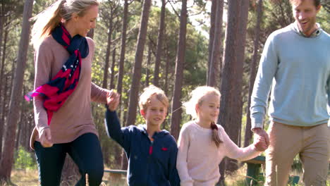 Familia-Feliz-Caminando-En-Un-Campo