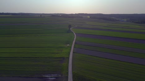 Gorgeous-aerial-top-view-flight-tree-on-path-austria-Europe-field-meadow-road-sunset-summer-23