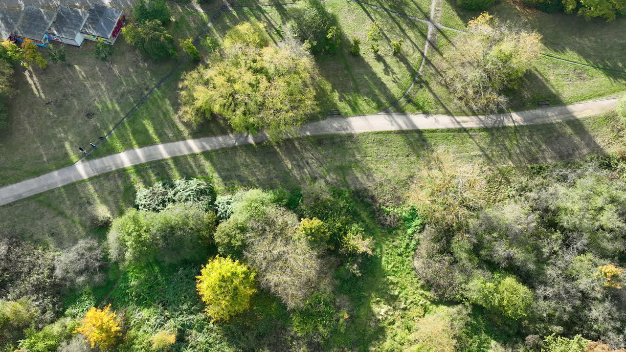 Top-Down Aerial Shot of Sunlit Paths and Trees in Gdańsk Park