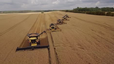 Hermosa-Vista-Aérea-Cinematográfica-De-Una-Fila-De-Cosechadoras-Trabajando-Al-Unísono-Y-Recogiendo-Trigo-Dorado-Durante-La-Temporada-De-Cosecha