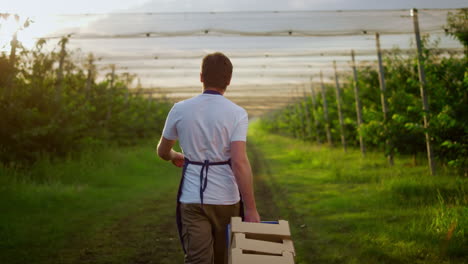 entrepreneur farmer looking harvest using farming equipment crate in orchard.