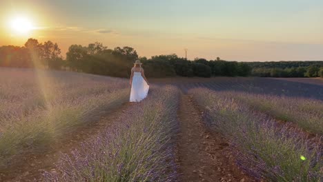 lady in white dress relaxing in idyllic landscape of lavender flower field