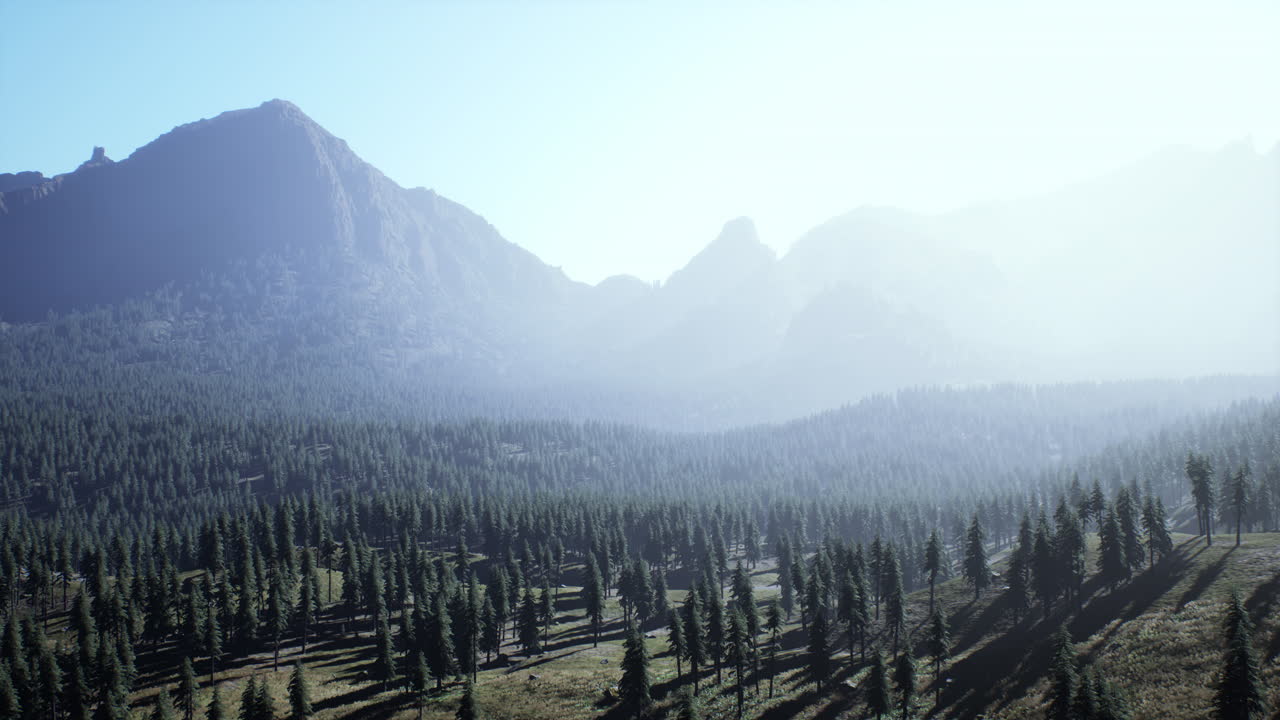 bosque de pinos en las montañas de la isla griega
