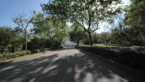 sunny road with trees in la grande-motte south of france lockdown period