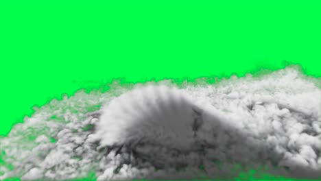 white smoke cloud on green screen