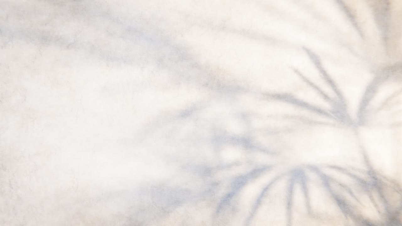 Moving Palm Leaf Shadows on a Textured Wall Background
