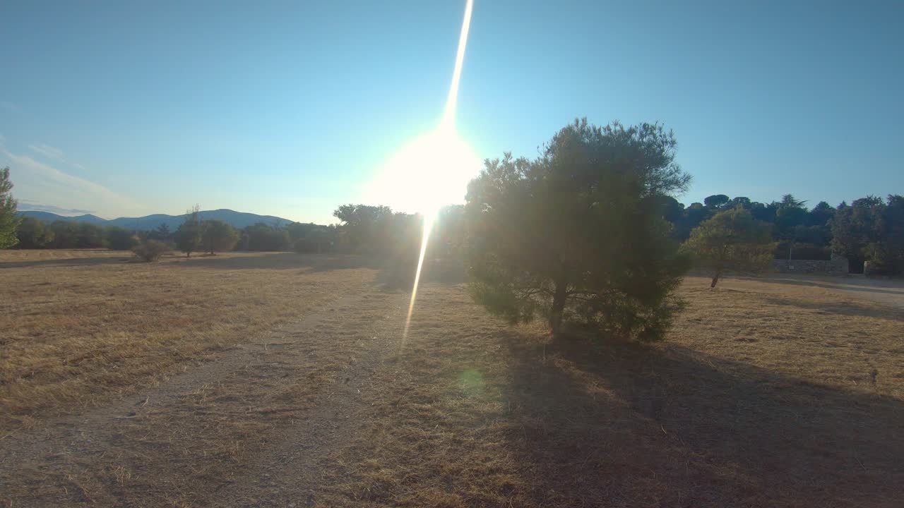 Sunny Day in a Dry Field with Trees and Mountains in the Background