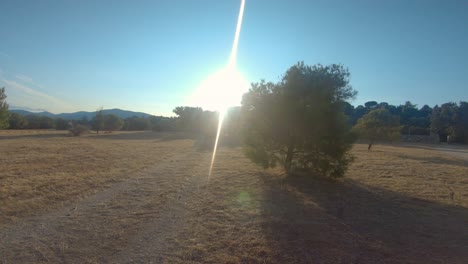sunny day in a dry field with trees and mountains in the background