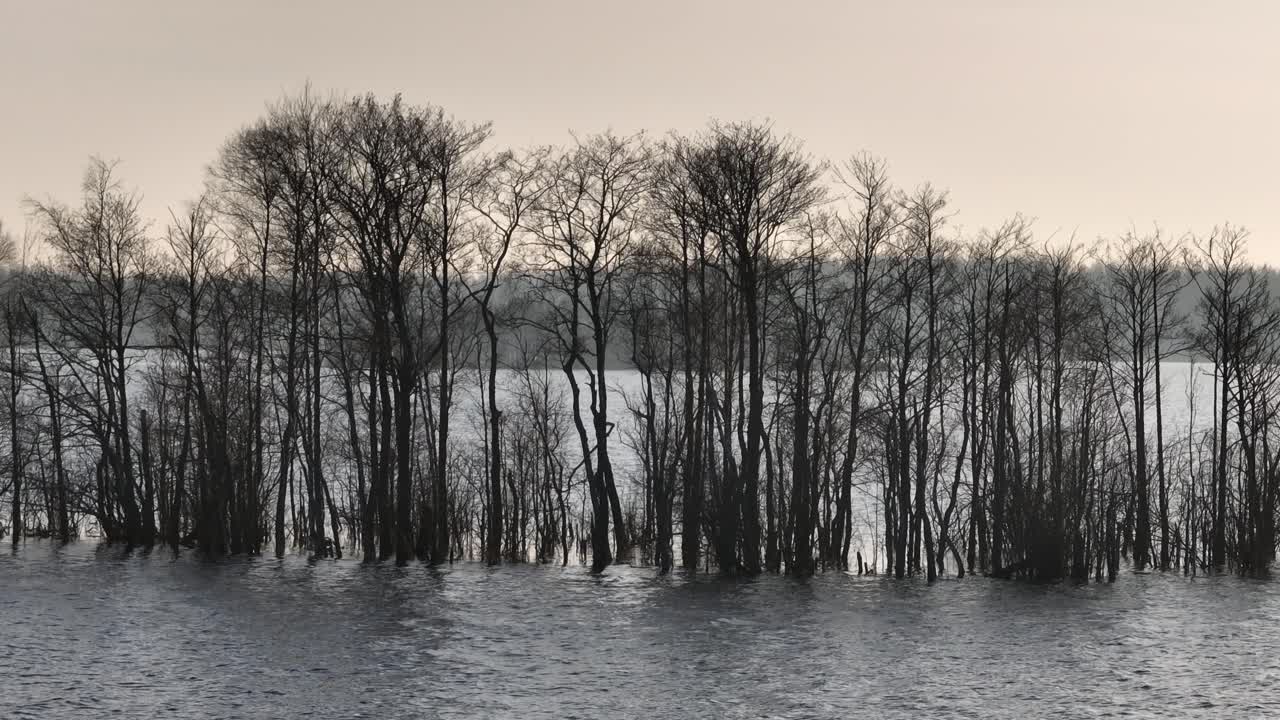 Approaching drone view of small island submerged in Lake Karujärv due to high water levels. Saaremaa, Estonia.