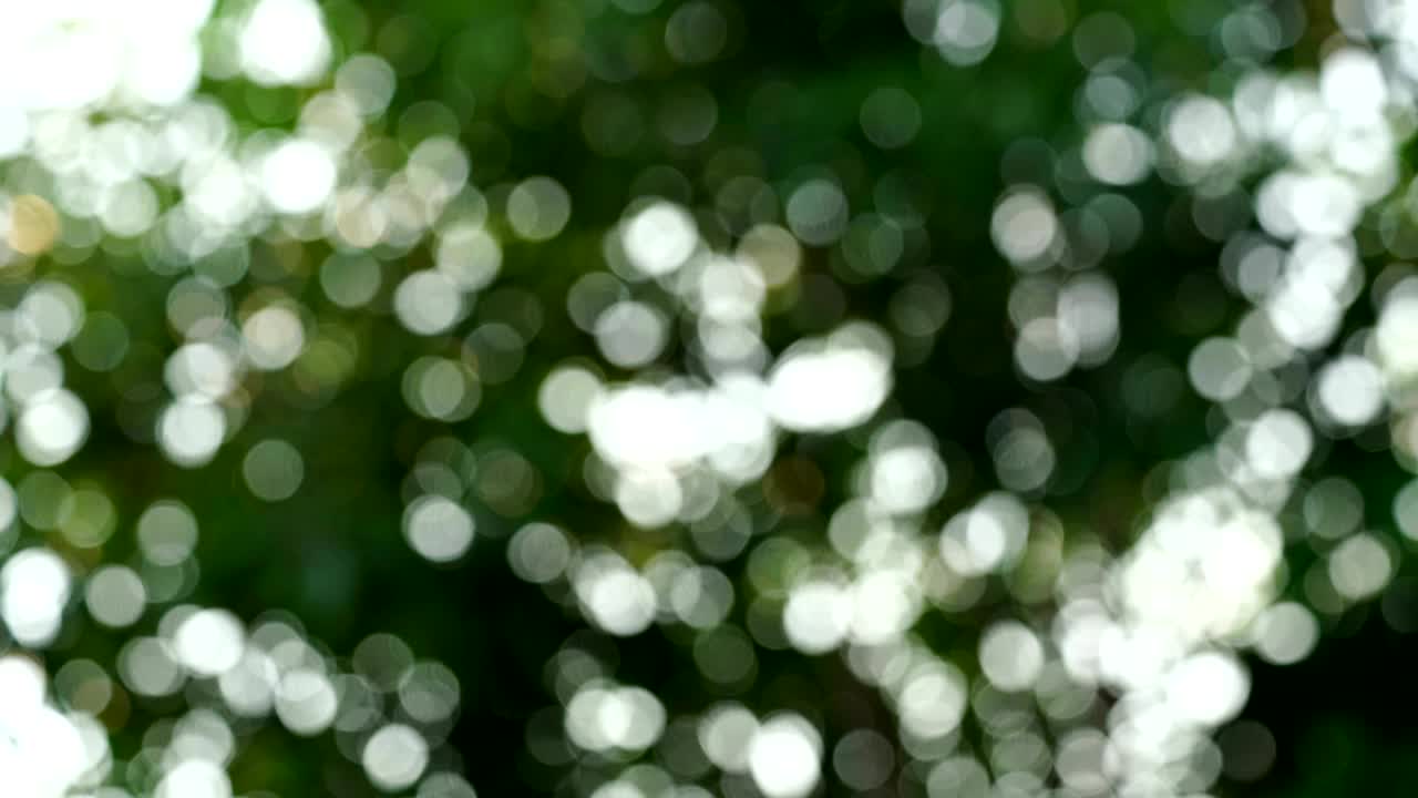 imágenes abstractas de fondo de movimiento con bokeh natural verde