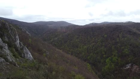 Viajero-Con-Mochila-Llegando-A-La-Cima-De-Una-Montaña-Colinas-Forestales-De-Color-Plano