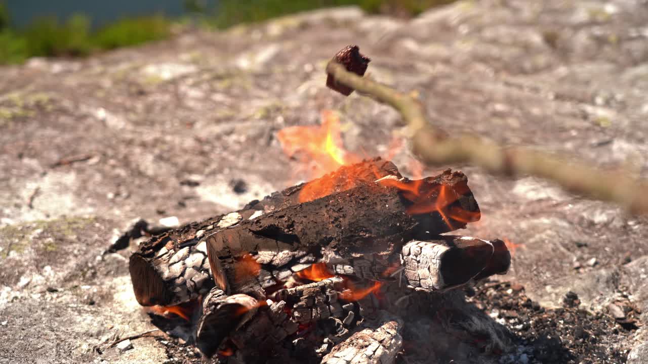 화창한 날 자연에서 모닥불 위에 생 사슴 고기를 굽고 - 열린 불 위에 막대기를 들고 있을 때 얕은 깊이 1인칭 시점