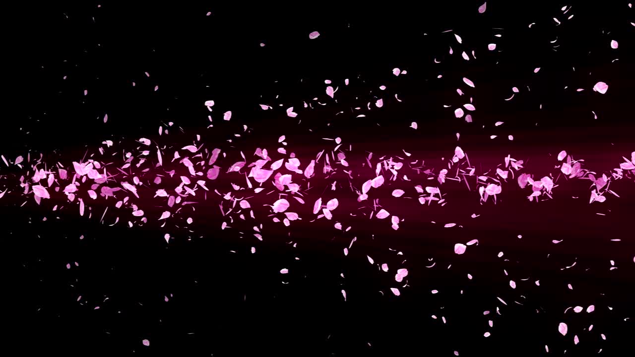 espiral partícula brillante de las flores de cerezo. patrón sakura. baile de cerezo japonés. vórtice de pétalos rosados. animación de bucle abstracto.