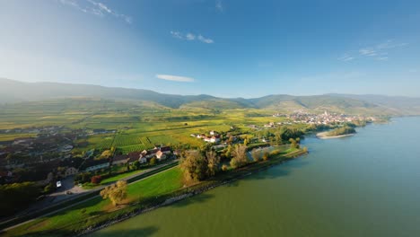toma aérea ascendente lenta de hermosos viñedos cerca de la ciudad comercial spitz y el reluciente río danubio
