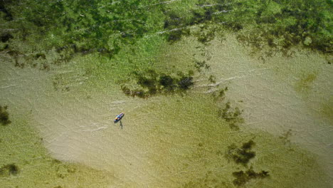 Zoom-Aéreo-De-Una-Persona-Flotando-En-Una-Tabla-De-Surf-En-Un-Cuerpo-De-Agua-Tranquilo---Fondo-Arenoso-Visible-Con-Pequeñas-áreas-De-Algas-Y-Vegetación-Acuática