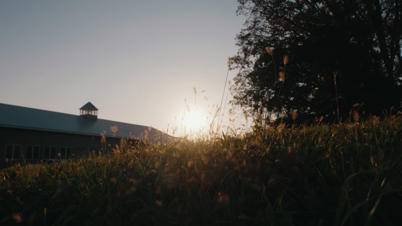 Sunset on a farm push in
