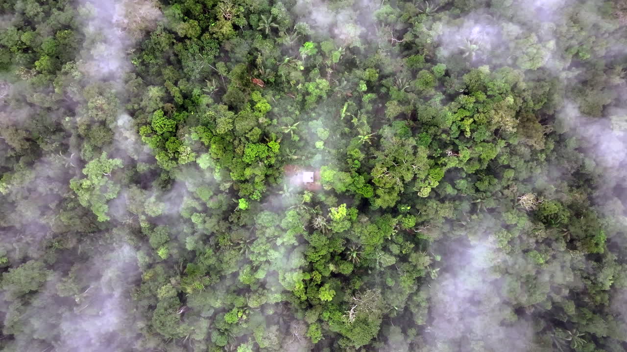 Scenic shot Amazonian rainforest in Ecuador dotted with clouds - place isolated surrounded by green