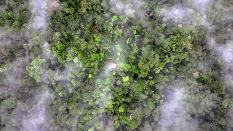scenic shot amazonian rainforest in ecuador dotted with clouds - place isolated surrounded by green