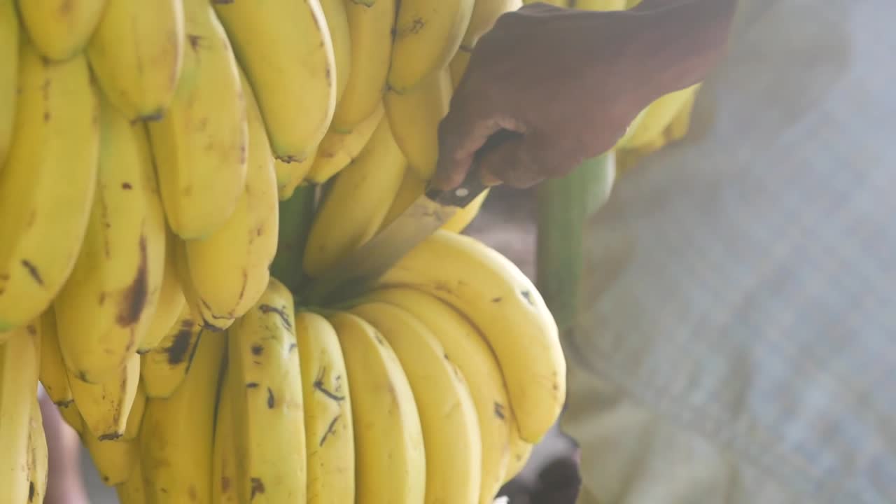 un video de primer plano de plátanos cortados en un mercado local en el caribe