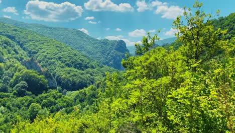 Schöne-Aussicht-Auf-Die-Bergspitze-Im-Grünen-Wald