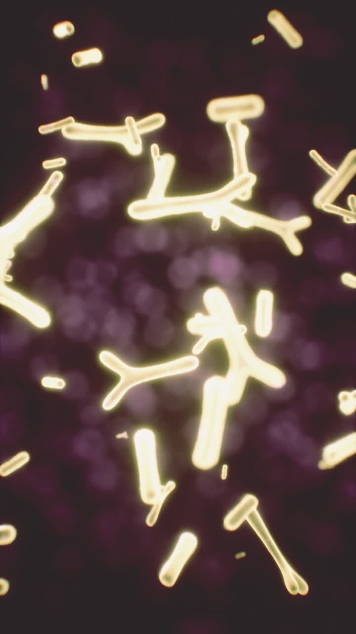 imagen microscópica de las bacterias