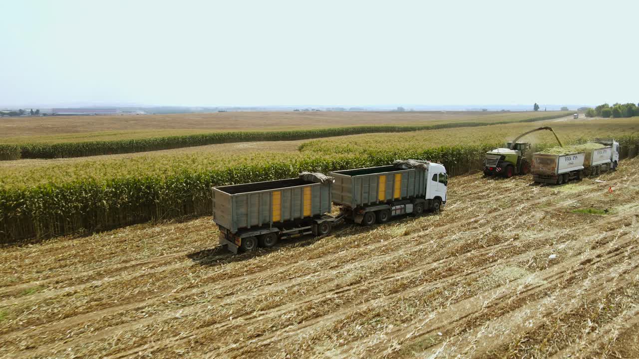식료품 수확기는 수확 메커니즘과 퍼를 사용하여 옥수수를 잘라서 러지 작물을 트랙터로 보내고, 가축의 수확 시간입니다.