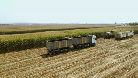la cosechadora de forraje corta el maíz usando el mecanismo de cosecha y el chopper y envía el cultivo de ensilado a través del auger al tractor, el tiempo de cosecha para el ganado.