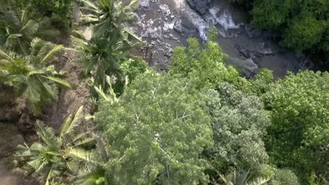 aerial overhead shot, flying from trees to river in bali, indonesia