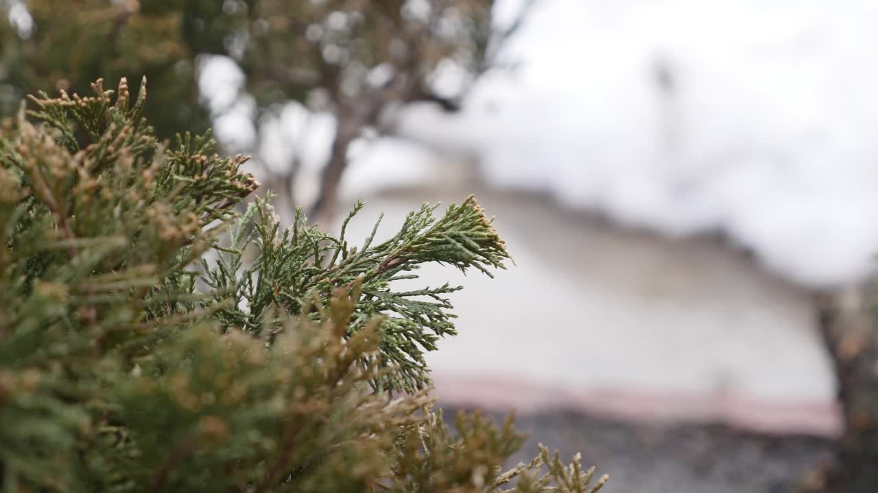 사람들은 배경에 도로 웅이를 고 있습니다.