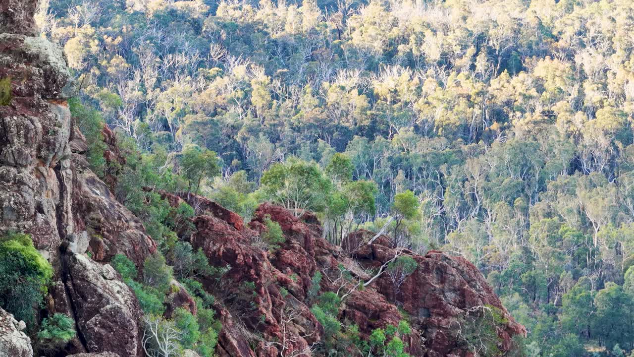 Drone pans across rugged volcanic outcrop and dense Australian bushland in soft sunset lighting