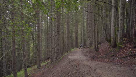 Ciclista-De-Montaña-Cabalgando-Rápido-Por-Un-Sendero-En-El-Bosque-Bajo-La-Lluvia