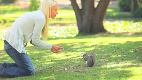 Junge-Frau-Füttert-Ein-Eichhörnchen