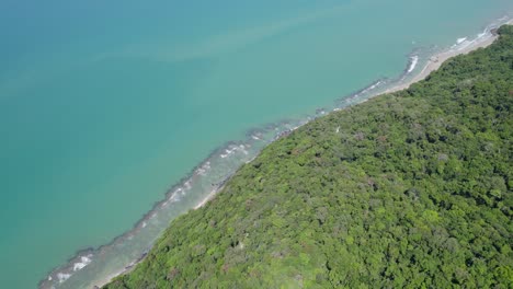 jungle and beach of daintree national park, cape tribulation, north queensland, australia