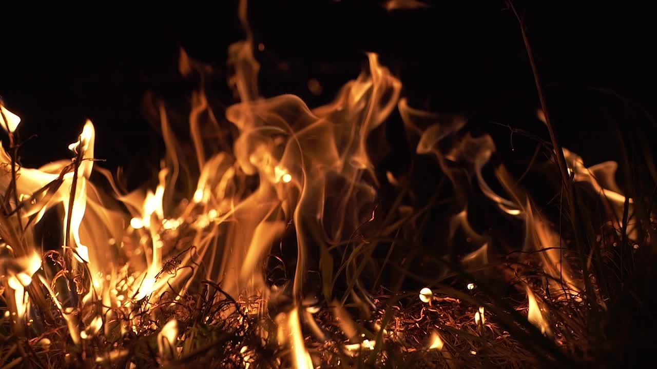 incendio forestal en la noche