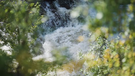 a raging wild river seen through the tangle of tree branches covered with green leaves