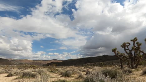 barrido lapso de tiempo giratorio de un árbol de joshua, cloudscape y terreno accidentado del desierto de mojave