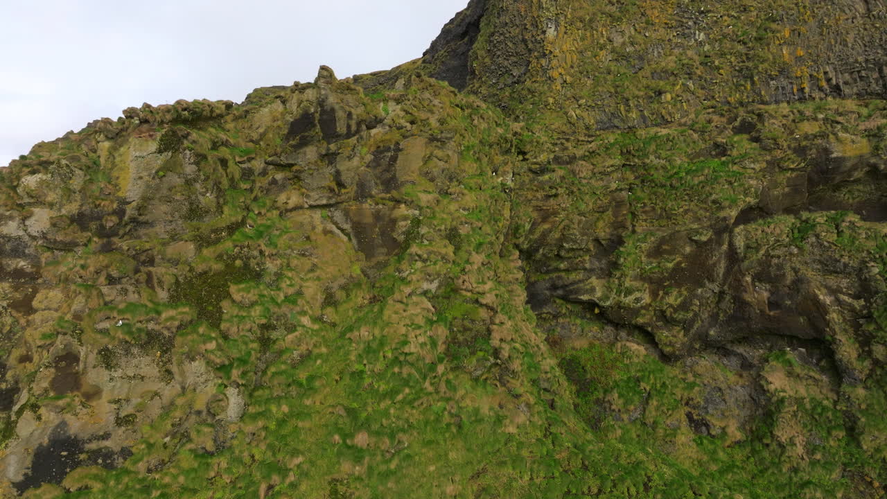 acantilados escarpados cubiertos de musgo en la playa de arena negra de reynisfjara en vik, islandia
