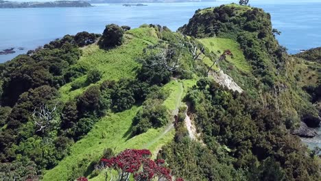 Drone-view-of-Tapeka-point,-Russell-Island,-New-Zealand