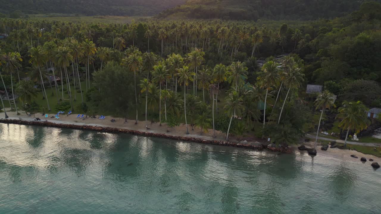 palmeras reflejadas en mar en calma