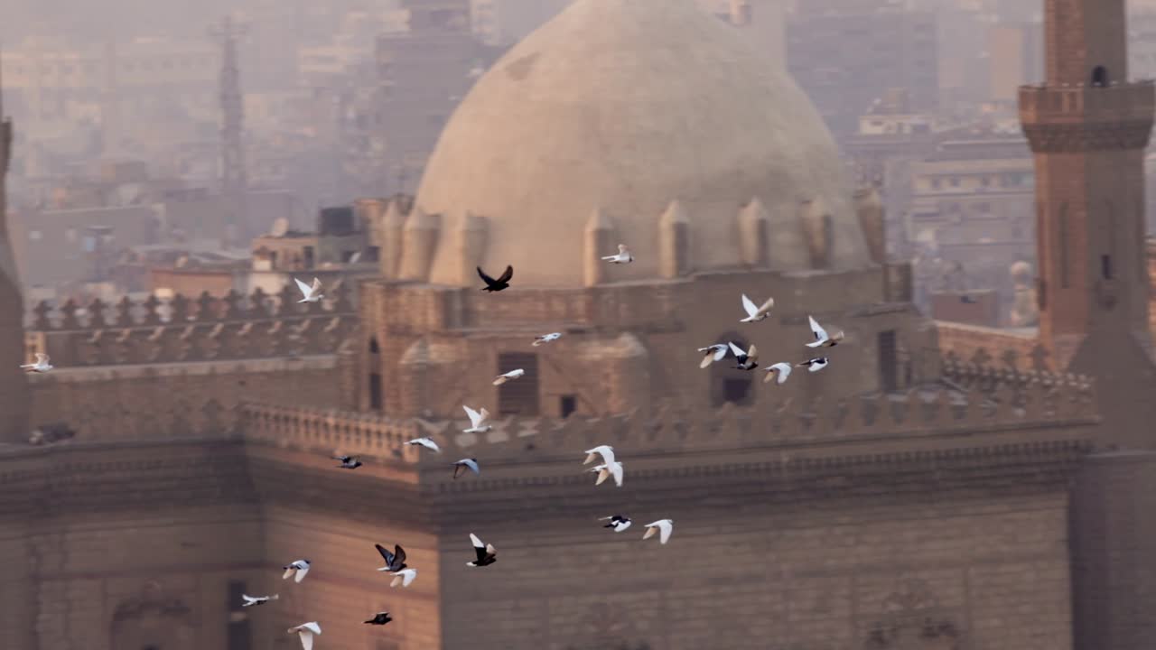 disparo en cámara lenta de palomas aves vuelan contra el fondo de la mezquita madrasa del sultán hassan, el cairo, egipto. pájaros en la ciudad