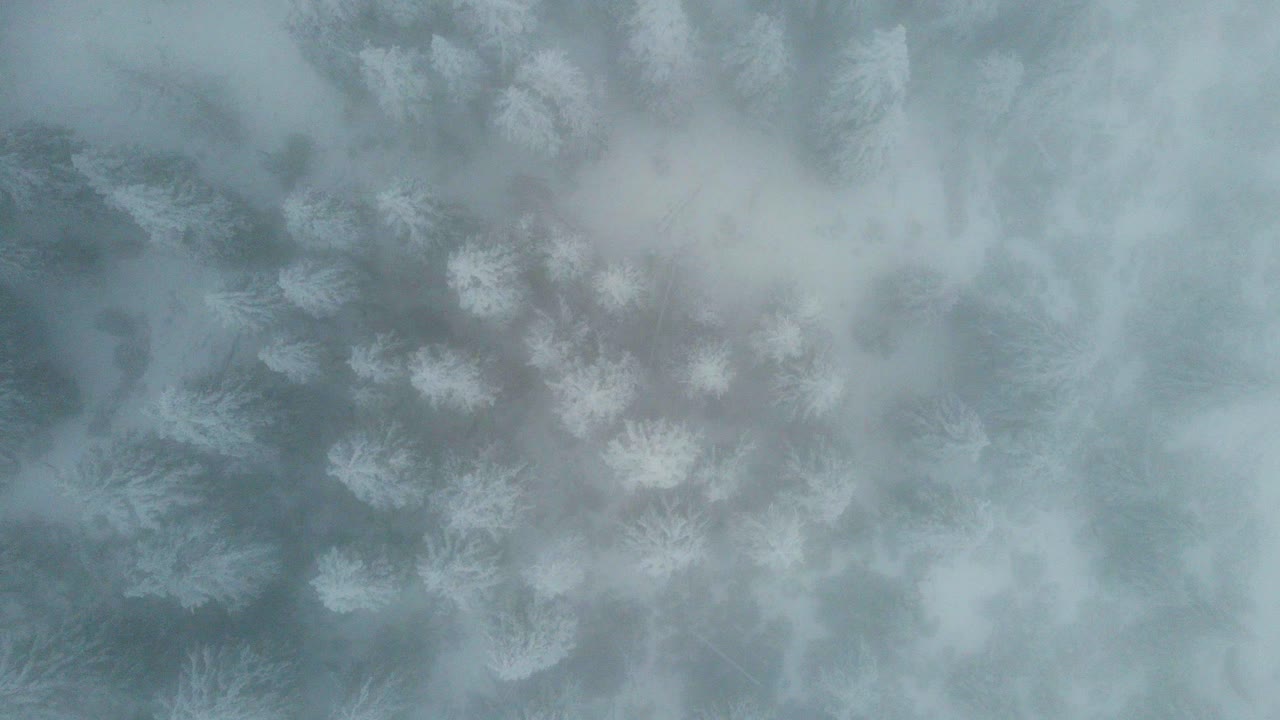 Aerial shot in snowfall - top view