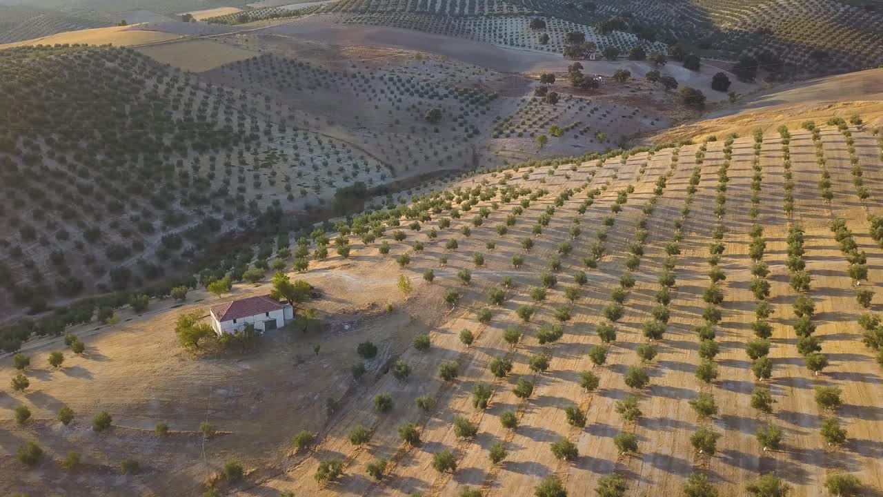toma aérea con inclinación lenta hacia abajo de una gran casa rodeada de campos de olivos durante la puesta de sol en el sur de españa