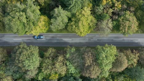 Fliegen-Sie-Hoch-über-Eine-Herbstliche-Straße,-Um-Den-Vertikalen-Blick-Auf-Das-Wunderschöne-Herbstlaub-In-Den-Baumwipfeln-Zu-Genießen