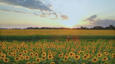 beautiful pregnant woman walking in sunflower field at sunset, wearing red dress