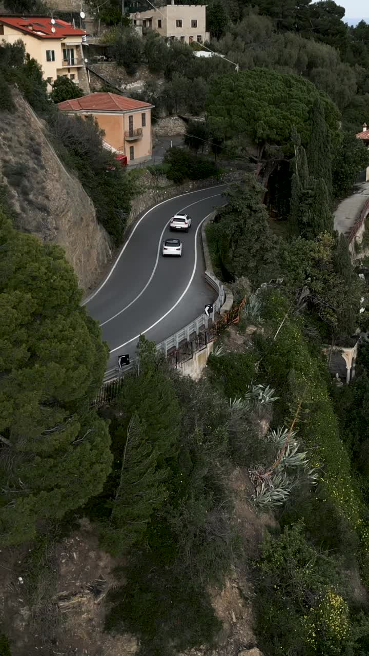 Road with cars between trees and buildings